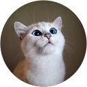 Isjimu X profile picture